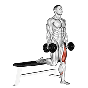Bulgarian split squat demonstration showing rear foot elevated on a bench, planted front foot, controlled descent, and balanced single-leg drive
