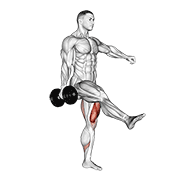 Dumbbell Single Leg Squat animated exercise demonstration