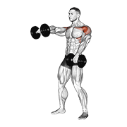 Dumbbell Standing Alternate Raise animated exercise demonstration