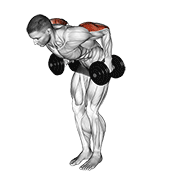 Dumbbell Standing Kickback animated exercise demonstration
