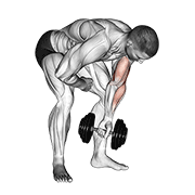 Dumbbell Standing One Arm Concentration Curl animated exercise demonstration