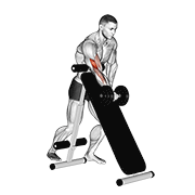 Dumbbell Standing One Arm Curl (Over Incline Bench) animated exercise demonstration