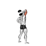 Dumbbell Standing One Arm Extension animated exercise demonstration