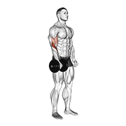 Dumbbell Standing One Arm Reverse Curl animated exercise demonstration