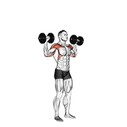 Dumbbell Standing Overhead Press animated exercise demonstration