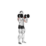 Dumbbell Standing Palms In Press animated exercise demonstration