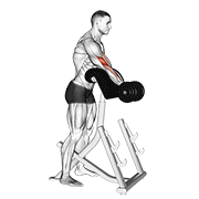 Dumbbell Standing Preacher Curl animated exercise demonstration