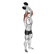 Dumbbell Standing Triceps Extension animated exercise demonstration