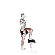 Dumbbell Step-Up animated exercise demonstration