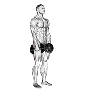 Dumbbell Stiff Leg Deadlift animated exercise demonstration