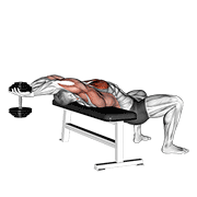 Dumbbell Straight Arm Pullover animated exercise demonstration