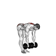 Dumbbell Straight Leg Deadlift animated exercise demonstration