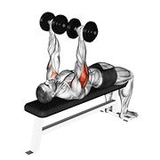 Dumbbell Tate Press animated exercise demonstration