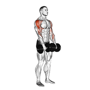 Dumbbell Upright Row animated exercise demonstration