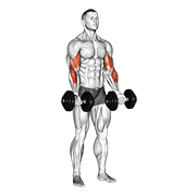 Dumbbell Zottman Curl animated exercise demonstration