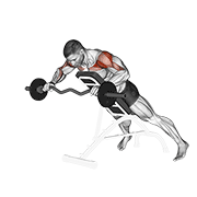 Ez Barbell Anti Gravity Press animated exercise demonstration