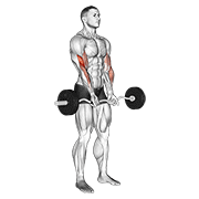 Ez Barbell Close-Grip Curl animated exercise demonstration