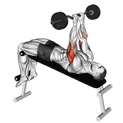 Ez Barbell Decline Close Grip Face Press animated exercise demonstration