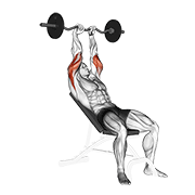 Ez Barbell Incline Triceps Extension animated exercise demonstration
