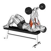 Ez Barbell Jm Bench Press animated exercise demonstration