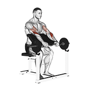 Ez Barbell Reverse Grip Preacher Curl animated exercise demonstration
