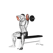 Ez Barbell Seated Triceps Extension animated exercise demonstration