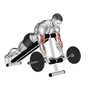 Ez Barbell Spider Curl animated exercise demonstration