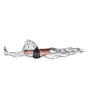 Flexion Leg Sit Up (Bent Knee) animated exercise demonstration