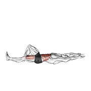 Flexion Leg Sit Up (Straight Arm) animated exercise demonstration