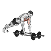 Floor Fly (With Barbell) animated exercise demonstration