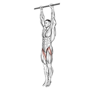 Hanging leg raise from a pull-up bar showing a quiet hang, braced trunk, controlled straight-leg raise, and no swinging momentum