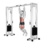 Hanging Straight Leg Hip Raise animated exercise demonstration