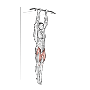Hanging Straight Leg Raise animated exercise demonstration