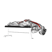 Hyperextension (On Bench) animated exercise demonstration