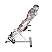 Hyperextension animated exercise demonstration