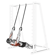 Inverted Row With Straps animated exercise demonstration