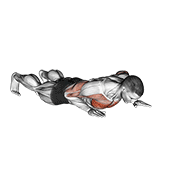 Isometric Wipers animated exercise demonstration