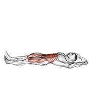Jackknife Sit-Up animated exercise demonstration