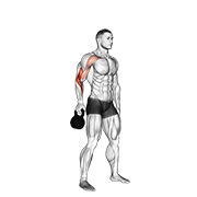 Kettlebell Bottoms Up Clean From The Hang Position animated exercise demonstration