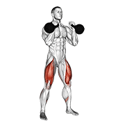 Kettlebell Front Squat animated exercise demonstration