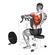 Lever Alternating Narrow Grip Seated Row animated exercise demonstration