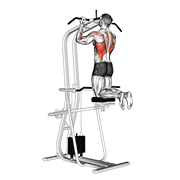 Lever Assisted Chin-Up animated exercise demonstration