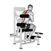 Lever Back Extension animated exercise demonstration