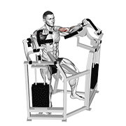 Lever Bicep Curl animated exercise demonstration