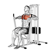 Lever Chest Press animated exercise demonstration