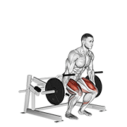 Lever Deadlift animated exercise demonstration
