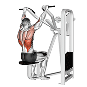 Lever Front Pulldown animated exercise demonstration
