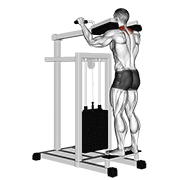 Lever Gripless Shrug animated exercise demonstration