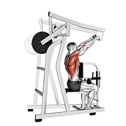 Lever High Row animated exercise demonstration