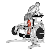 Lever Kneeling Leg Curl animated exercise demonstration
